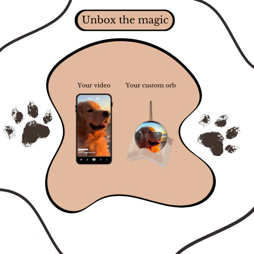 Customizable Video Glass Ball