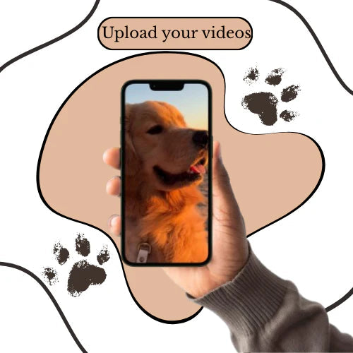 Customizable Video Glass Ball