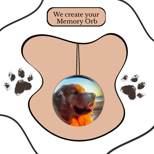 Customizable Video Glass Ball