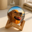 Customizable Video Glass Ball