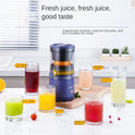 Portable Automatic Juicer
