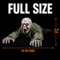 Creepy Crawling Halloween Prop – Motion Activated Zombie