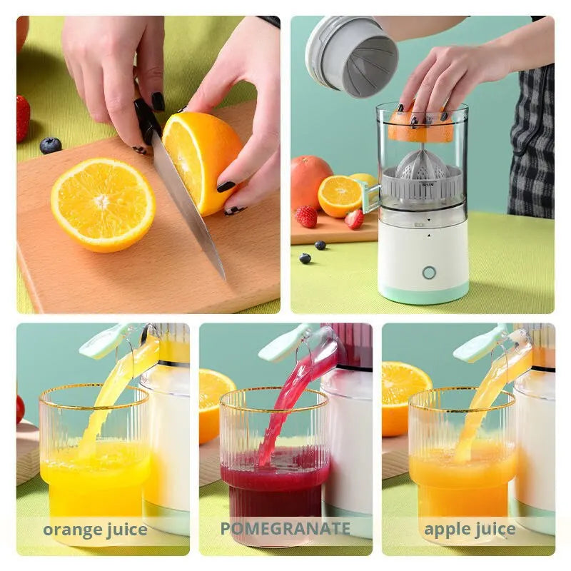 Portable Automatic Juicer