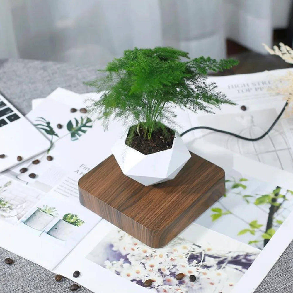 Bonsai Pot Rotation Flower