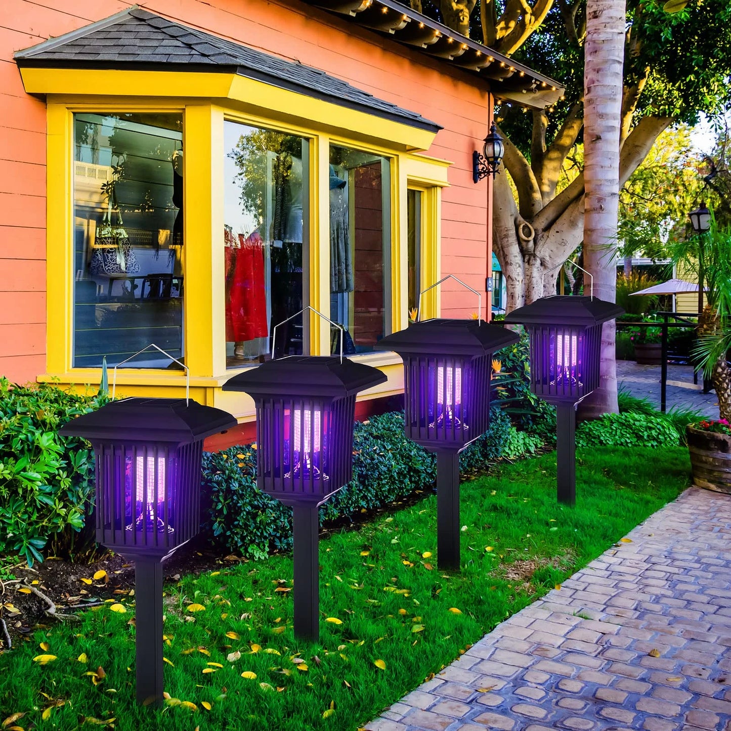 Solar-Powered Outdoor Light and Insect Trap