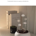 Dynamic Flame Jellyfish Aromatherapy Humidifier